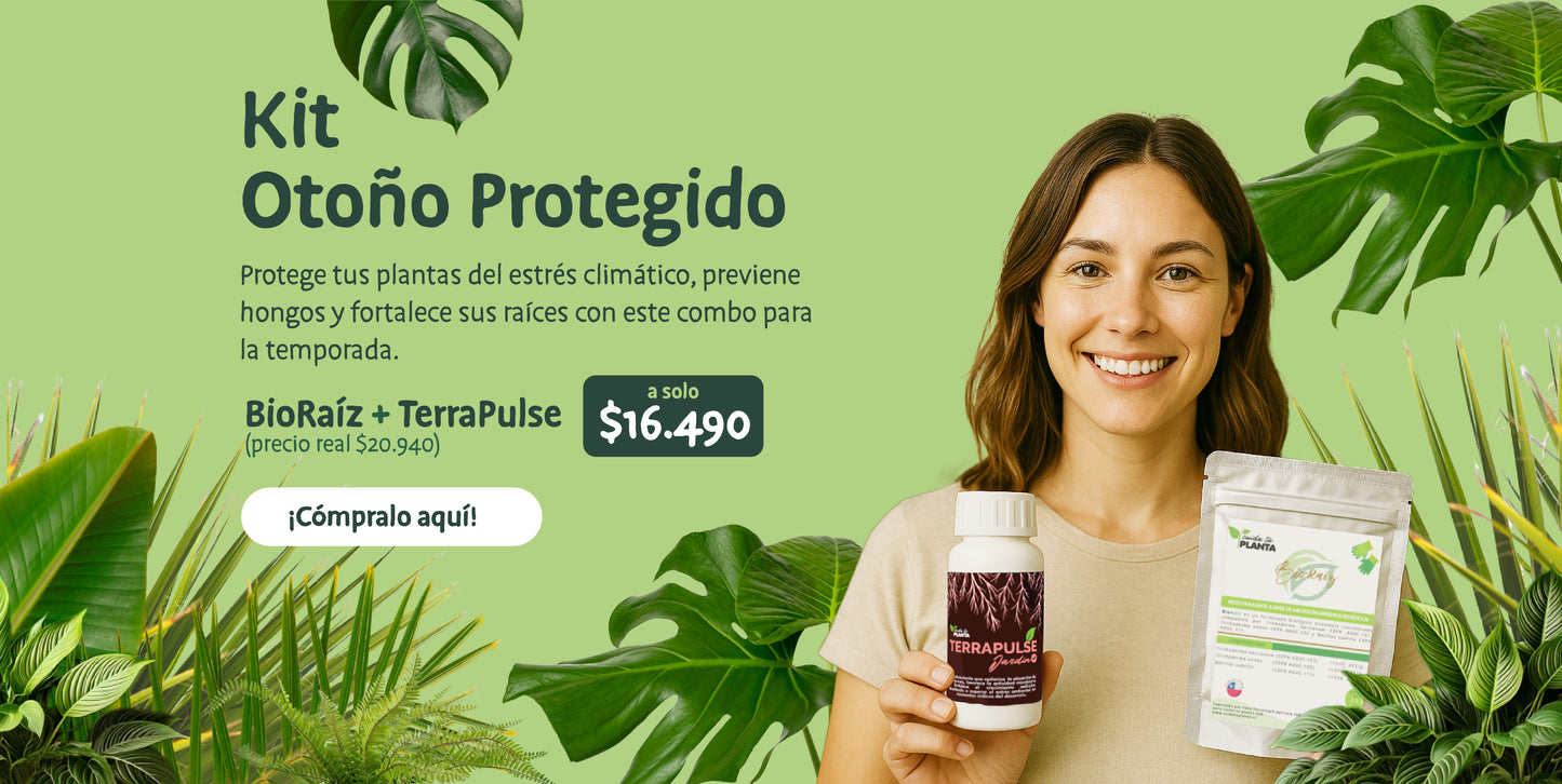 KIT OTOÑO PROTEGIDO