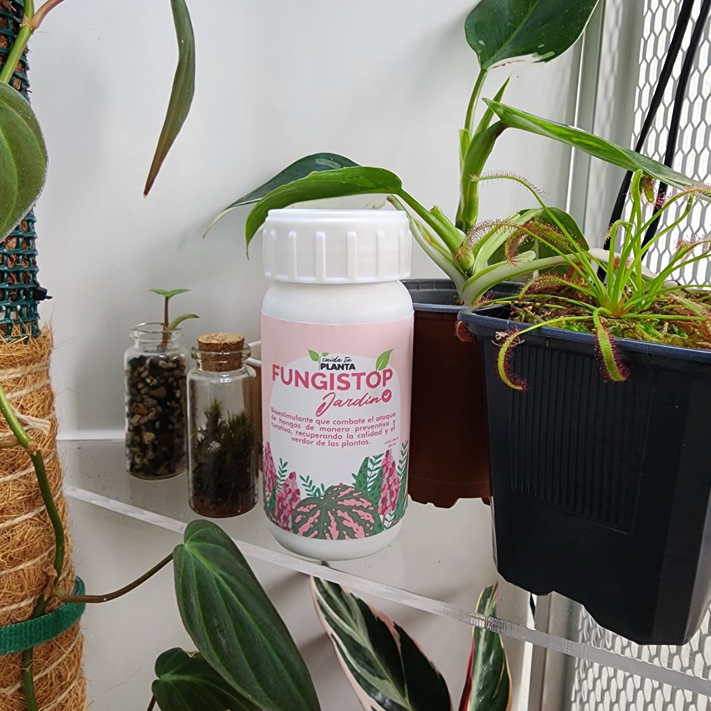 Fungistop Jardín + FungiStop Concentrado 200 cc