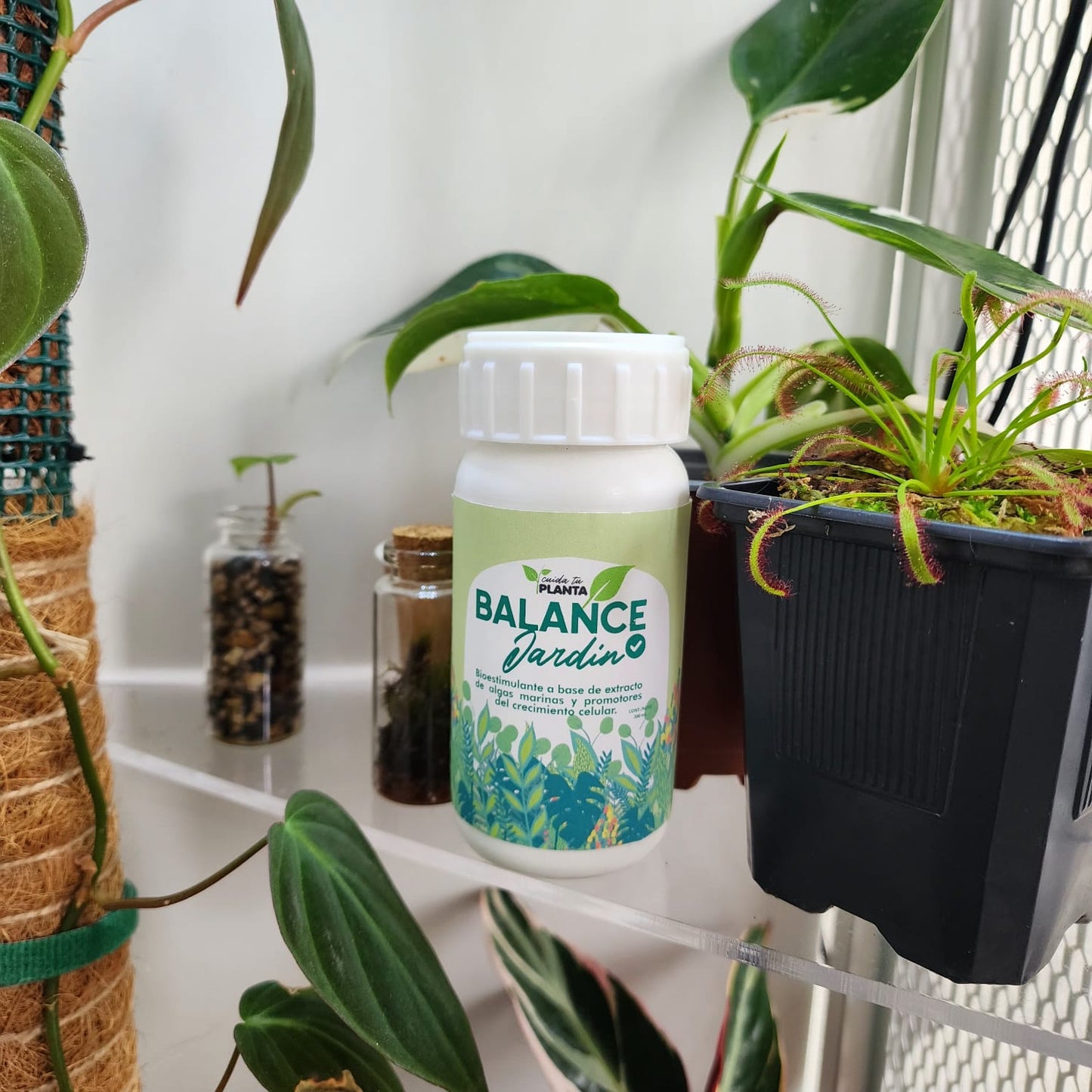 Balance Jardin Concentrado 200 cc