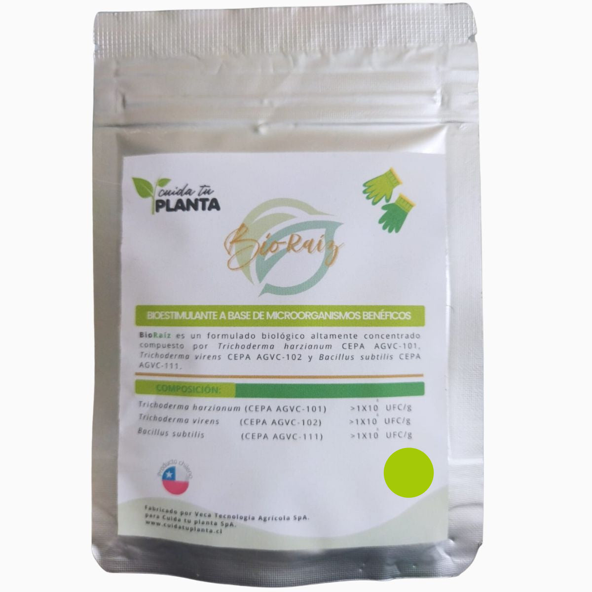 Bio Raíz