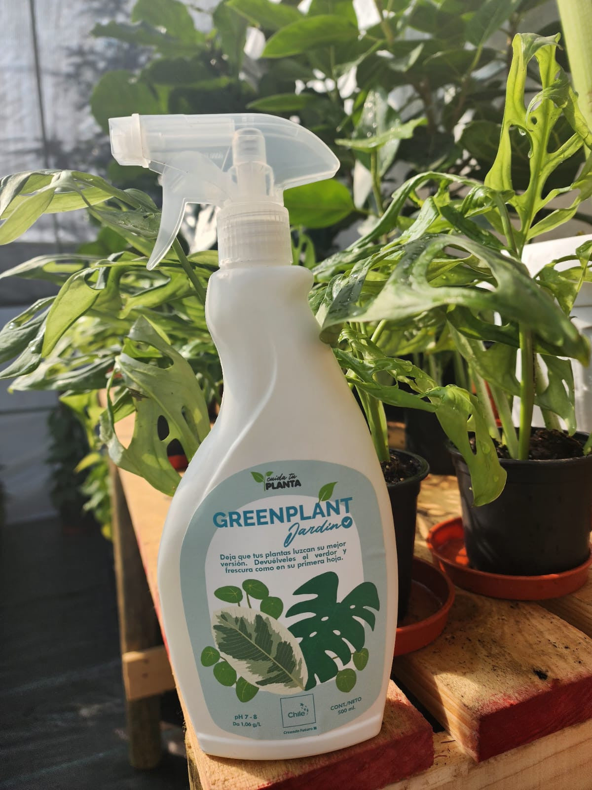 WhatsApp Image 2024-05-13 at 11.35.07.jpeg