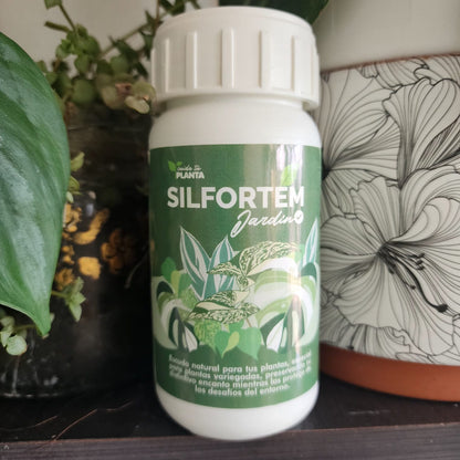 SILFORTEM (200cc)