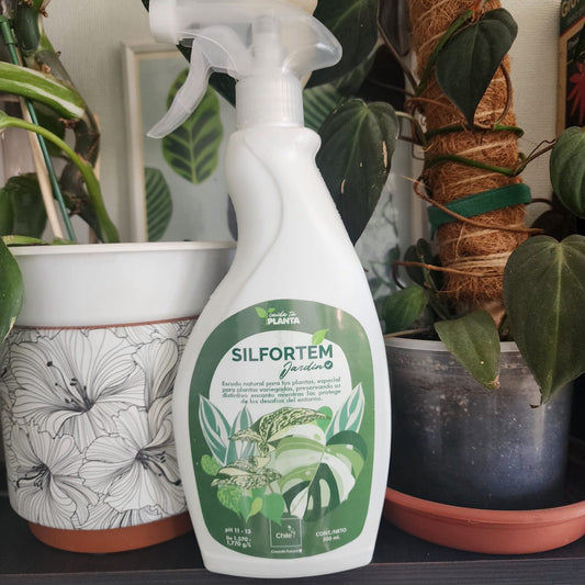 Silfortem (gatillo)