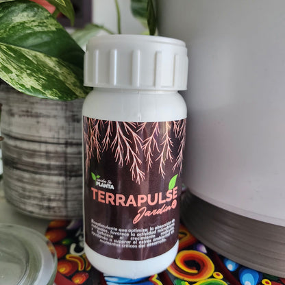 PACK TRIO DE VERANO: que cuidará tu selva por ti!