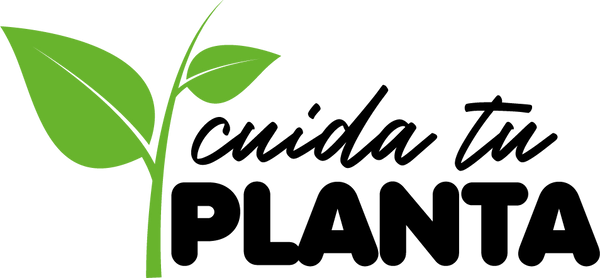Cuida tu planta