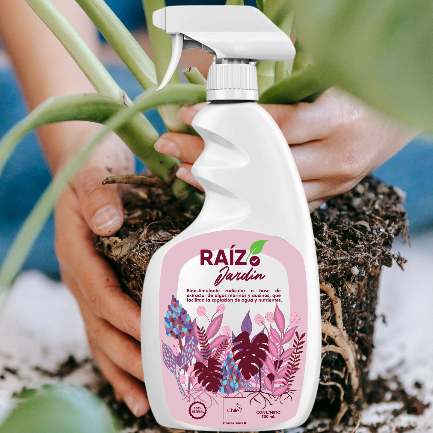 Pack Crece Cuida Tu Planta