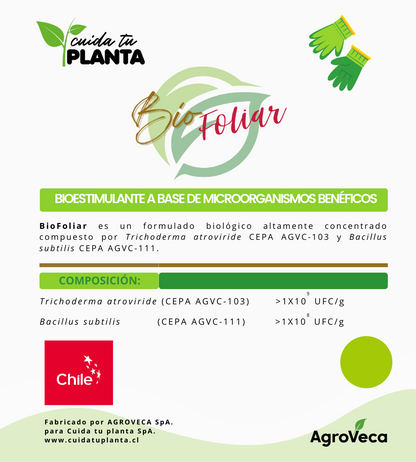 Bio Foliar