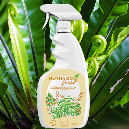 Nutra Mix + Nutramix Concentrado 200 cc